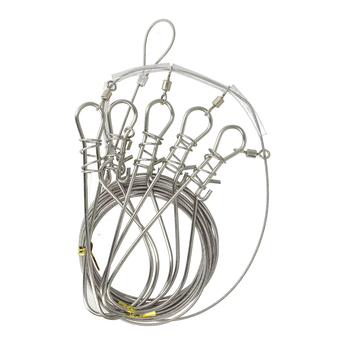 ZEOX Stainless Fish Stringer: check it out on the official Golden Catch  website!
