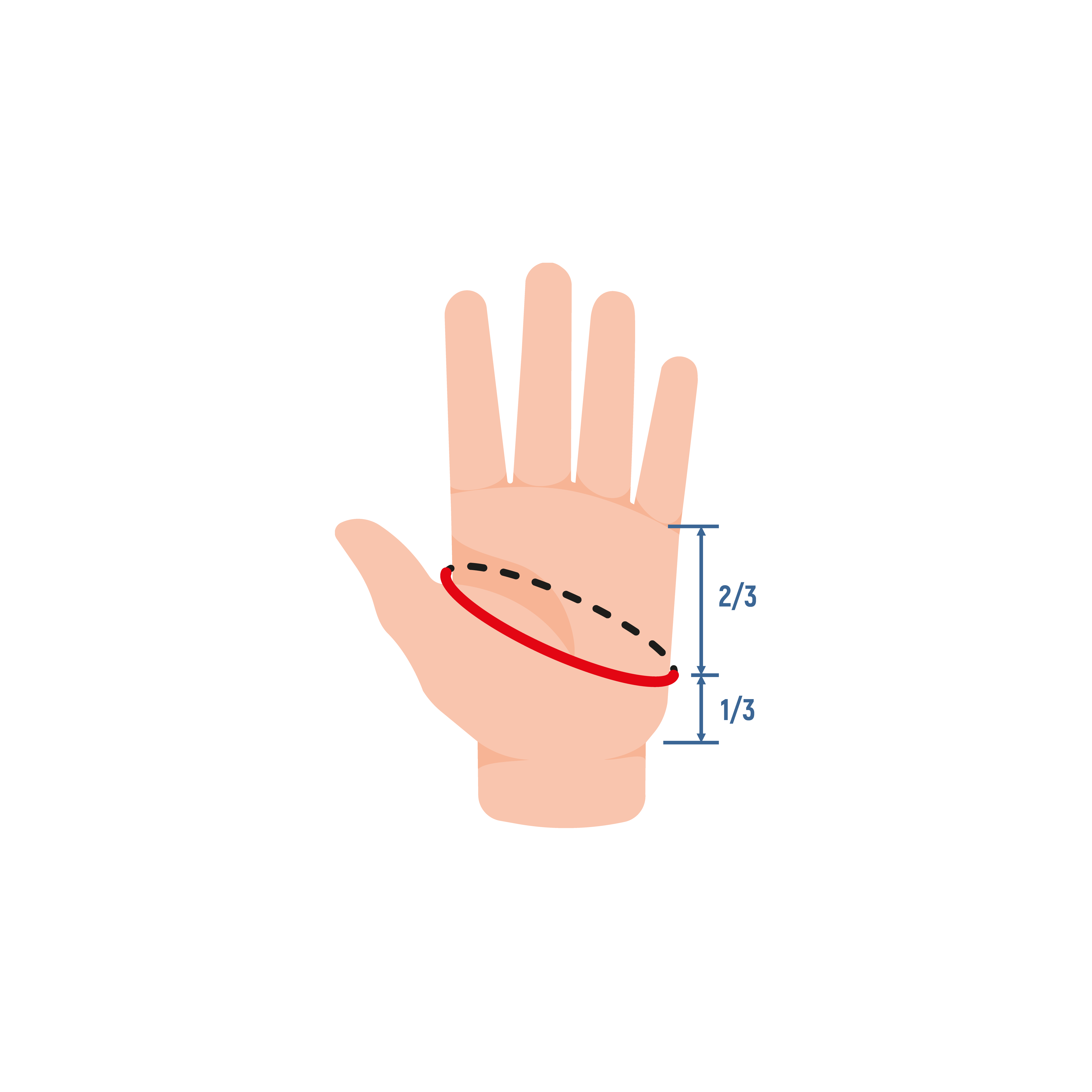 Golden Catch SunGlove 5 Cut PN-101 - Photo №1
