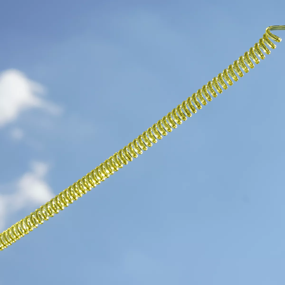 Golden Catch Lanyard with Carabiner Golden Spring 10-85 cm - Photo №4 Golden Catch Lanyard with Carabiner Golden Spring 10-85 cm - Photo №4